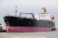 High Glow (OK-230212-0).jpg