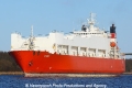 Vinni (OK-030212-0).jpg