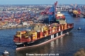 MSC Loreto 270325-35.jpg