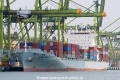 Cosco Osaka OS-190115-02.jpg