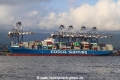 Cosco Shipping Volga RV-271219-01.jpg