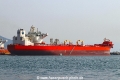 Eagle Paulinia RV-021020-03.jpg