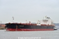 Polar Ace (KB-D271124-09).jpg