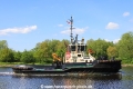 VB Ivy JB-080524-02.jpg