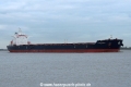 Parapola KH-101215-2.jpg