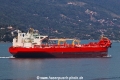 Eagle Paulinia RV-021020-08.jpg