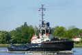 VB Ivy (OK-080524-0).jpg