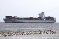 Cosco Kawasaki (MS-051013-04).jpg