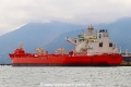 Eagle Paulinia RV-250920.jpg