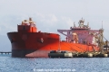 Eagle Paulinia RV-080221.jpg
