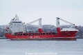 Bruce (US-161222-0).jpg