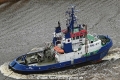 Wal (US-070422-1).jpg