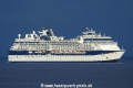 Celebrity Summit 301115-03.jpg