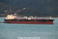 Homeric RV-020922-05.jpg