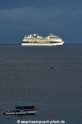 Celebrity Summit 301115-04.jpg