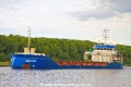 Ems Lion JB-040925-01.jpg