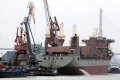 Da Liang (MS-240714-05).jpg