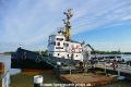 Walross (OK-030621-0).jpg