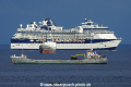 Celebrity Summit 301115-06.jpg