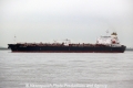 Horizon Dimitra (OK-181112-0).jpg