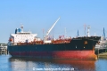 HTM Warrior (KB-D030623-01).jpg