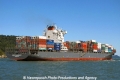 CSAV Laraquete RV-040811-02.jpg