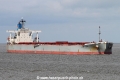 Silver Pioneer SH-040514-02.jpg