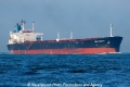 Sea Agility TJ-250510-1.jpg
