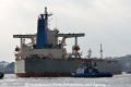 Silver Pioneer (KB-D301013-04).jpg