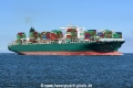 Ever Top JG-110922-3.jpg