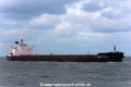 Shandong Da Cheng (MM-130116-3).jpg