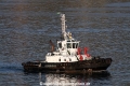 WS Bellatrix RV-120716-01.jpg
