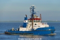 Wolf (OK-100621-1).jpg
