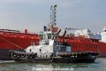 WS Phoenix RV-230614-03.jpg