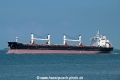 Dorysia OS-020721-01.jpg