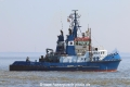 Wolf TL-310321-1.jpg