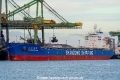 Shandong De Long SH-111221-01.jpg