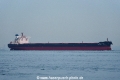 Shandong Da Ren OS-131018-13.jpg