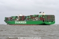 Ever Top JG-040525-3.jpg