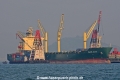 Delmas Baudin OS-311008-02.jpg