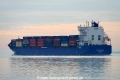 Delphis Bothnia (KK-231116-3).jpg