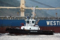 WS Bellatrix RV-230814-03.jpg