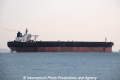 Shagang Giant OS-161212-05.jpg