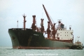 Diana Z OS-FN401-2.jpg