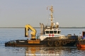 Wulf 4 (OK-220818-0).jpg