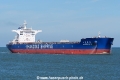 Shandong De Tai SH-020622-01.jpg