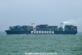 Ever Fortune OS-201023-16.jpg