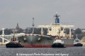 Silver Pioneer (KB-D301013-01).jpg
