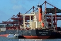 South Trader (KB-D190817-01).jpg