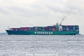 Ever Eagle OS-221025-03.jpg
